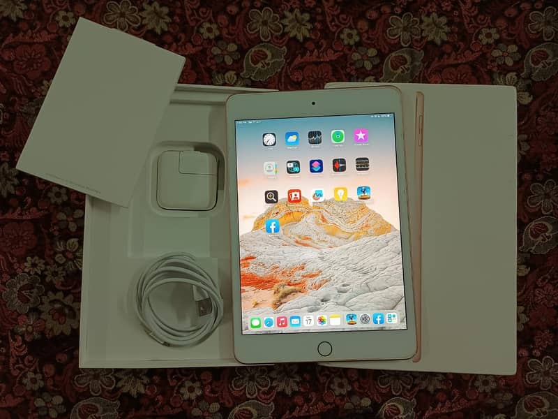 iPad Mini 5 0