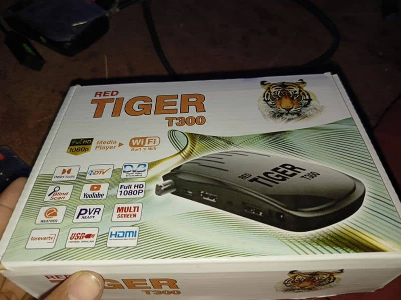 Tiger t300 forever receiver dish receiver03392162692 4