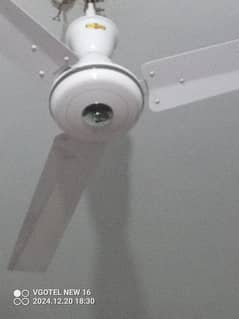 fan