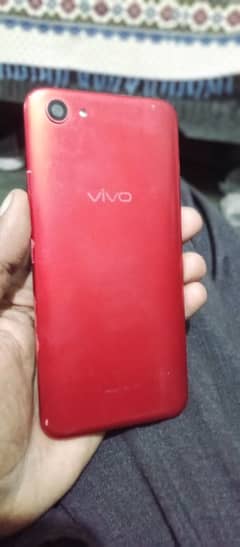 vivo