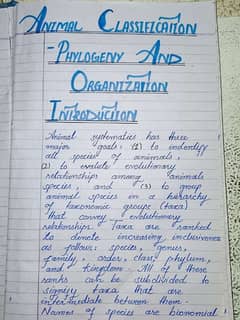 Handwriting assignment work