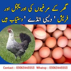 DESI FRESH EGGS FOR SALE