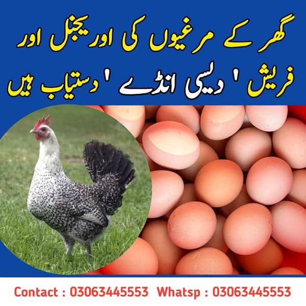 DESI FRESH EGGS FOR SALE 0