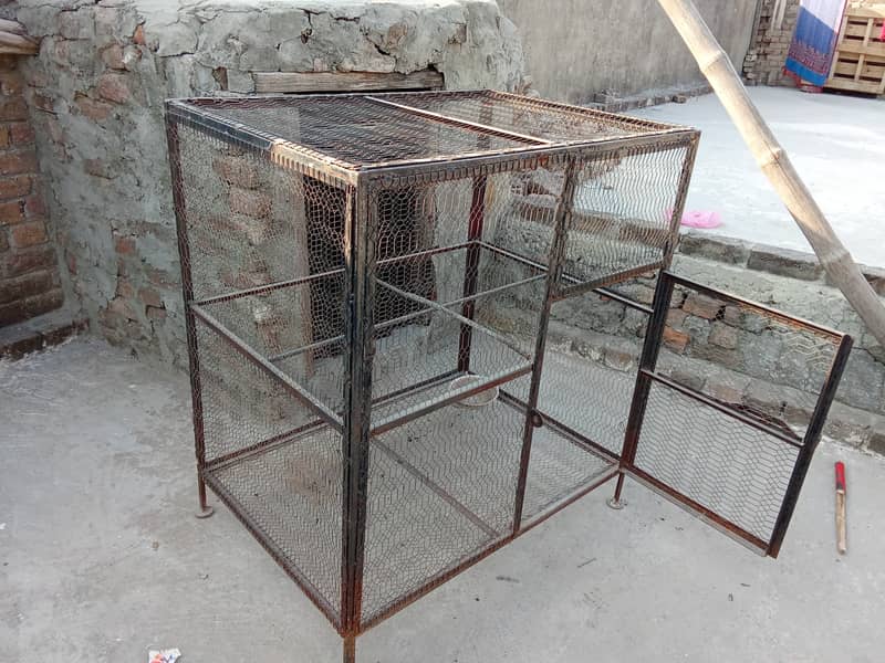 Birds cage 1