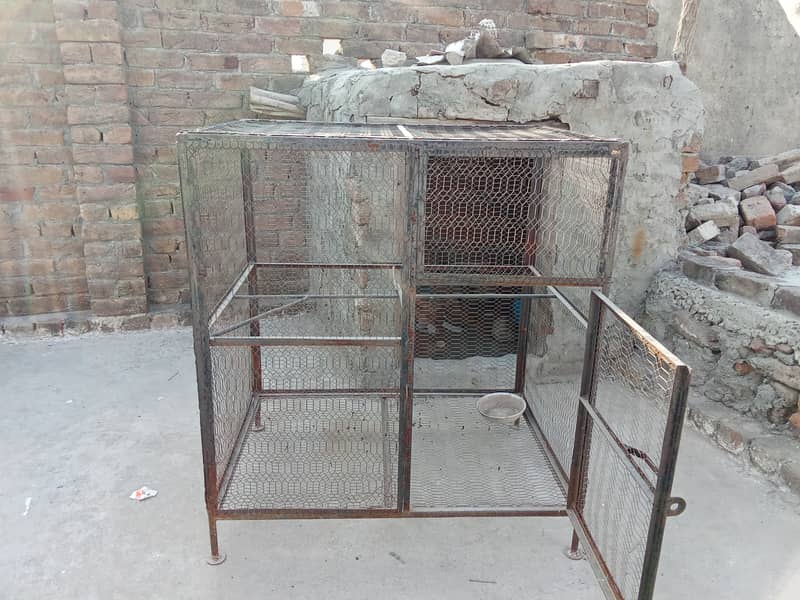 Birds cage 2