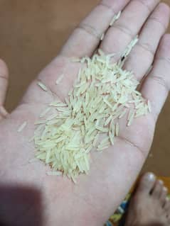 sella rice