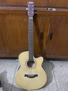 Acoustic guitar