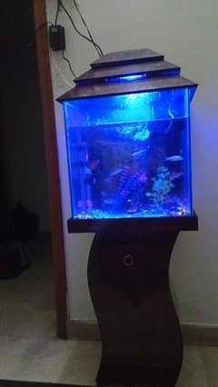 Aquarium for sale