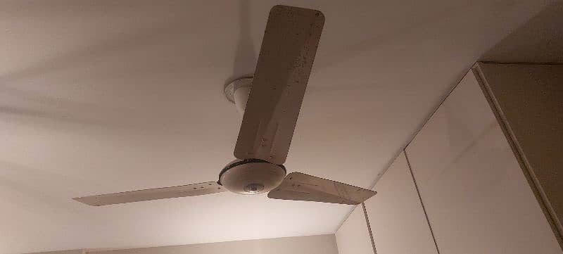 Ceiling Fan 1