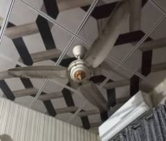 Fan ceiling Fan pankha 56 inches pro inverter