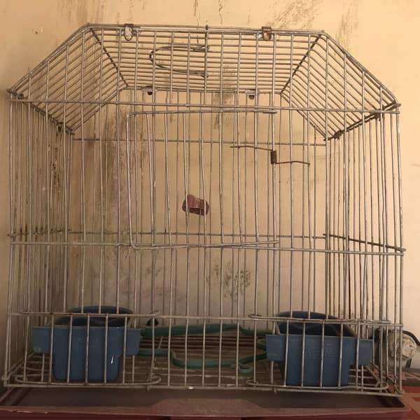 parrot cages 0