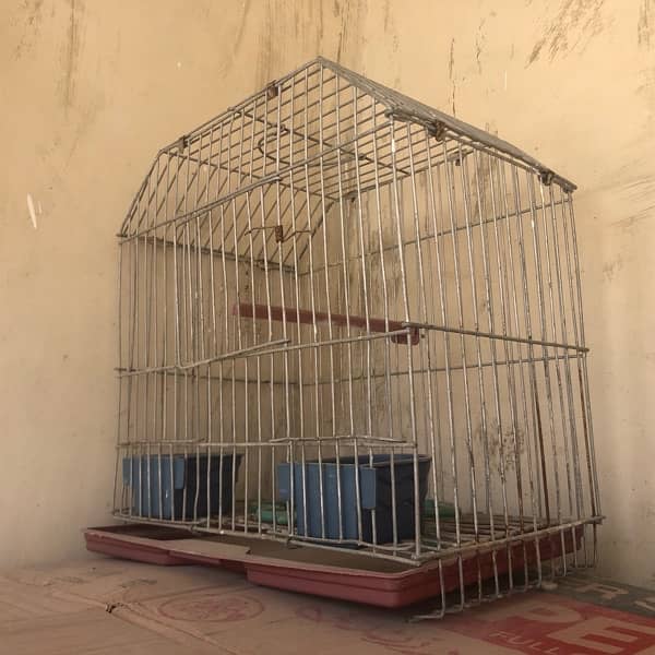 parrot cages 2