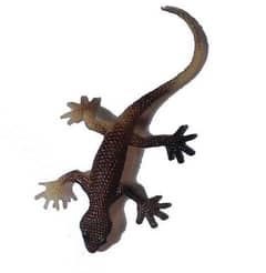 Fake rubber lizard fun toy !! <3