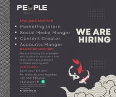 PMP Hiring Acountant