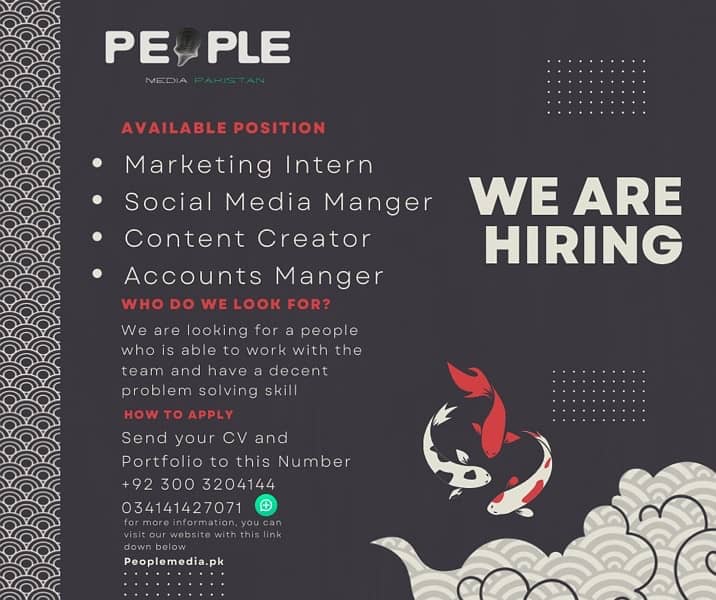 PMP Hiring Acountant 0