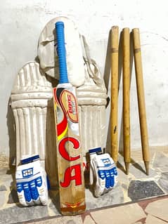 CRICKET KIT (Bat, Stumps, pads, gloves, thigs)