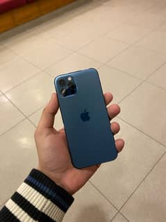 iphone 12 pro pta approved