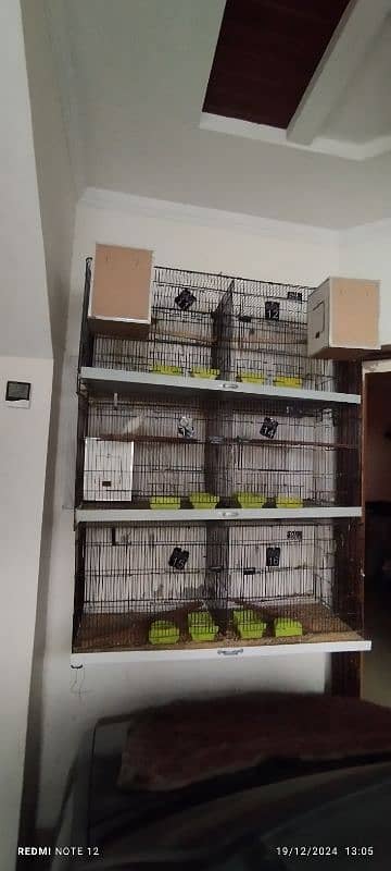 cages for birds 0