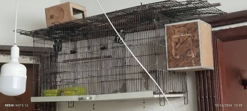 cages for birds 1