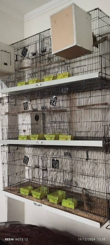 cages for birds 3