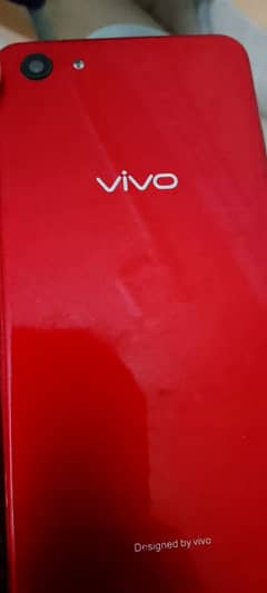 vivo