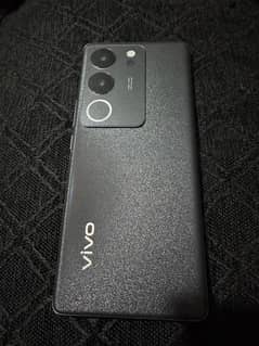 Vivo V29 In Mint Condition