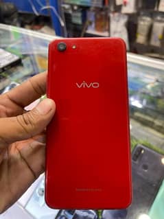 vivo