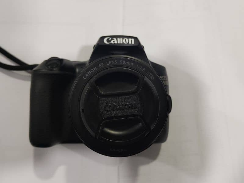 Canon 250d (4k 24 Mega Pixel) 1