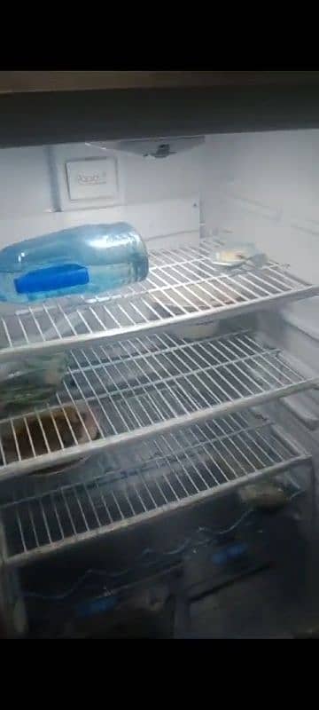 Refrigerator 1