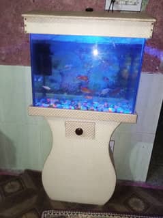 2 aquarium available han House shafting