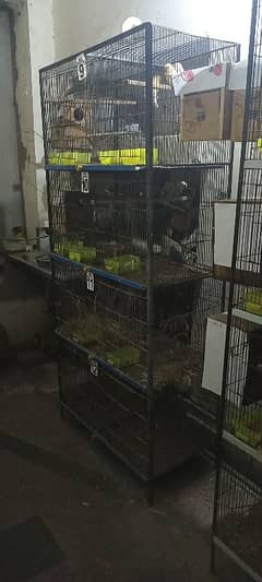 Cages, Love birds, Boxes for sale