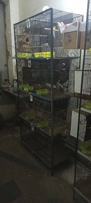 Cages, Love birds, Boxes for sale 0