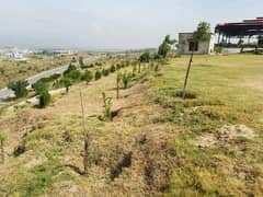 One Kanal On Main Bulevard( Ali Mardan) Plot Is Available For Sale At Echs D-18