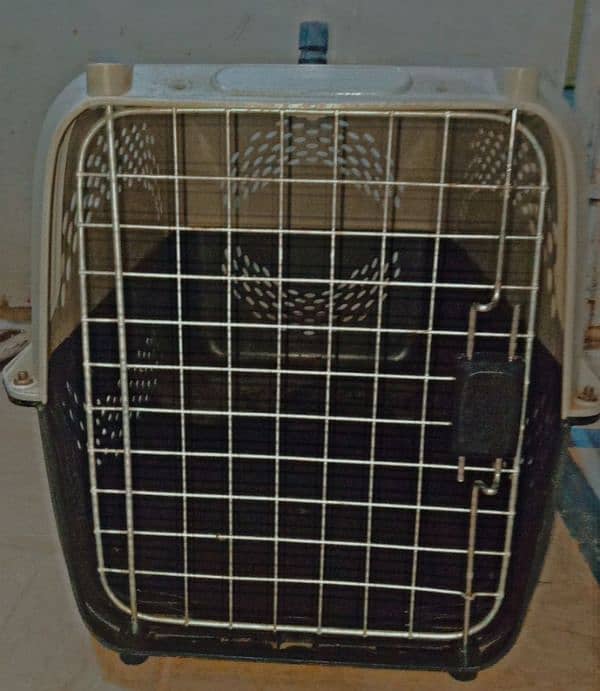 Cage of cats, traveler 3