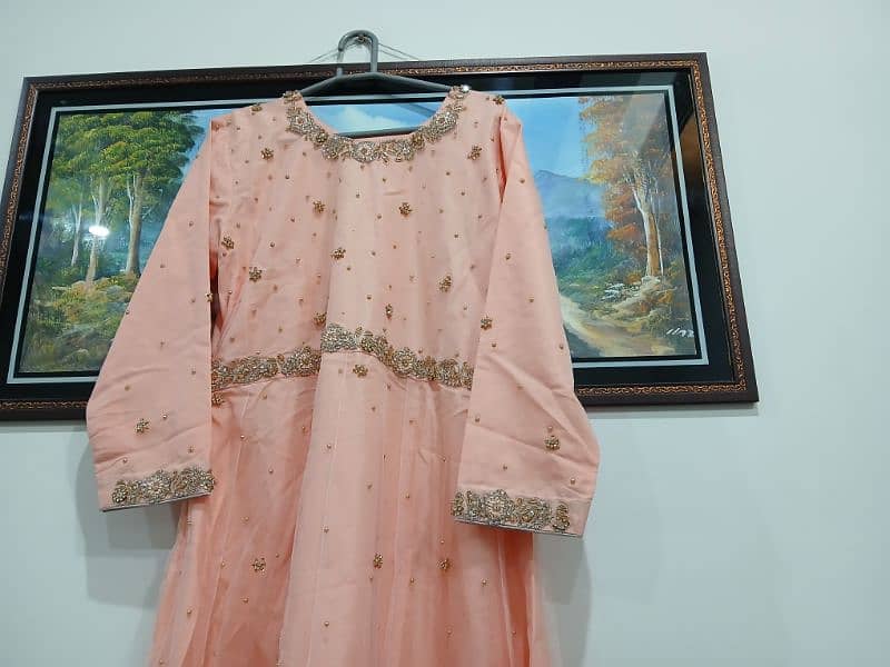 Peach net maxy 1