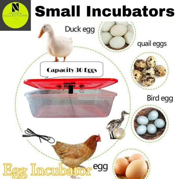 AC/DC 12V Incubator 25 Eggs 0