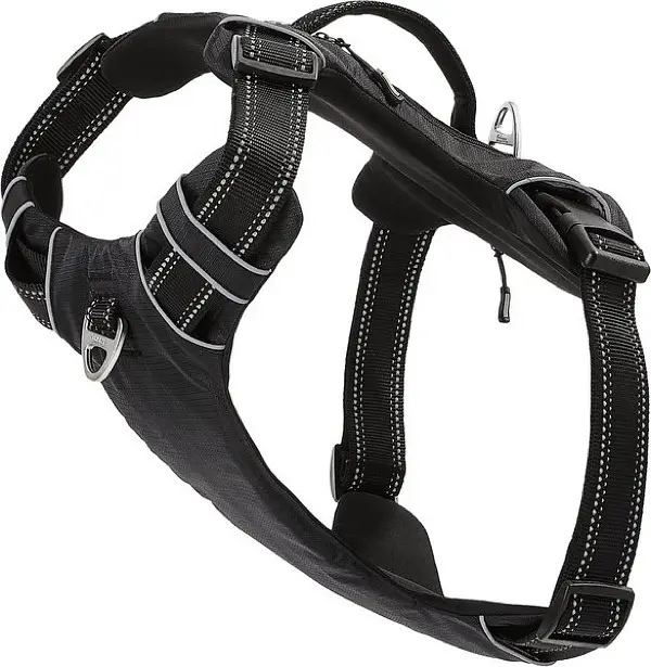 Dog harness with pocket brand new — photo 2
