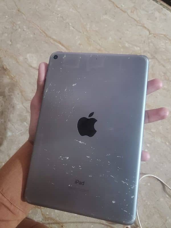 ipad mini 5 0