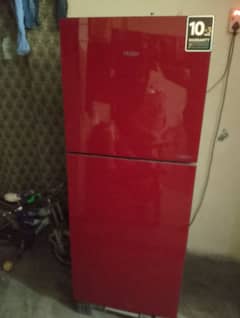 Haier fridge