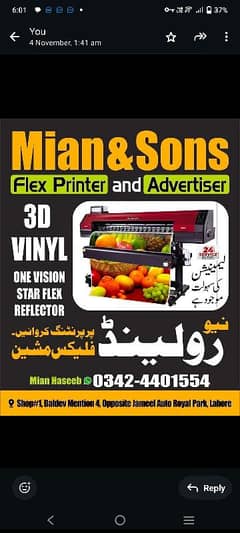 Mian & Sons Flex printer