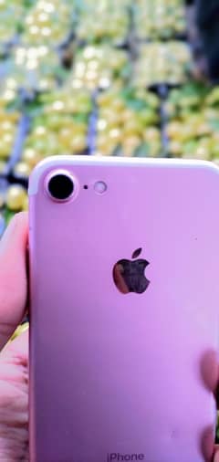 iPhone 7 /128GB