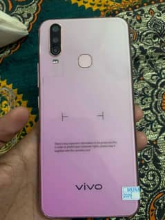 vivo