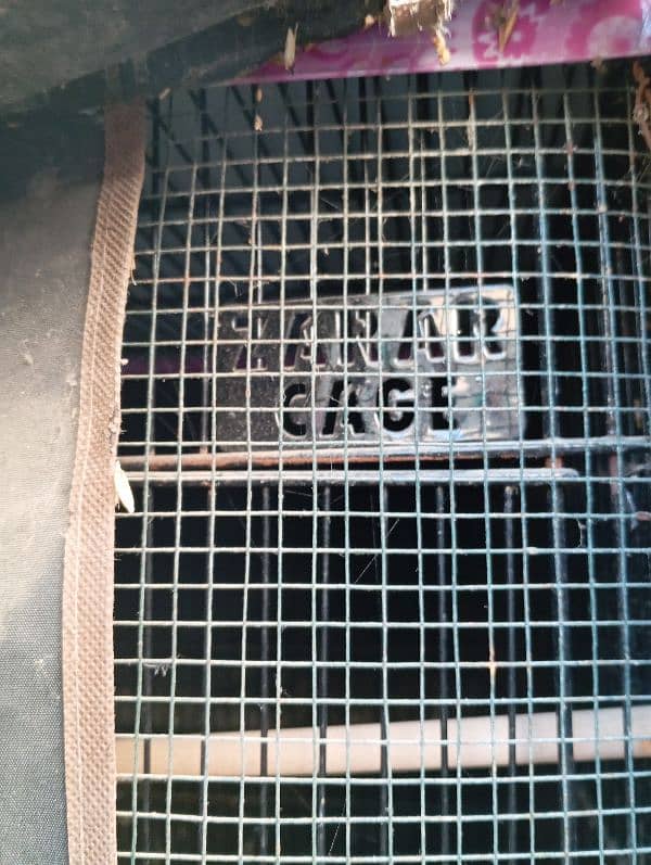 zarrar cage 2