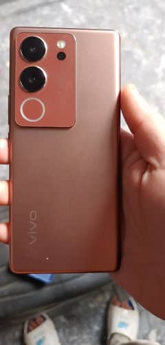 vivo v29 nonpta 10by10 12+8 ram room 512