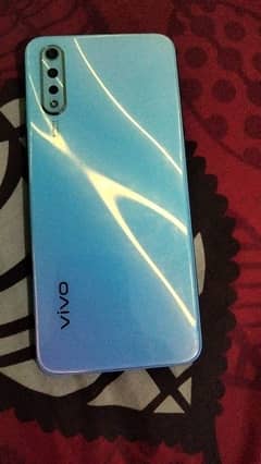 vivo