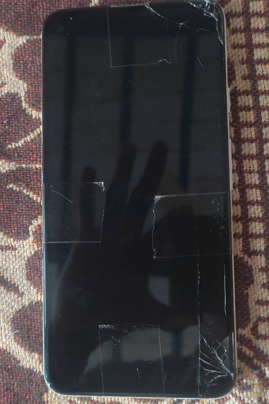 Pixel 4A 5G Panel Dead 1