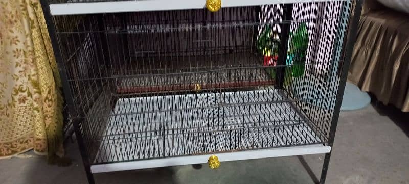 birds cage 2