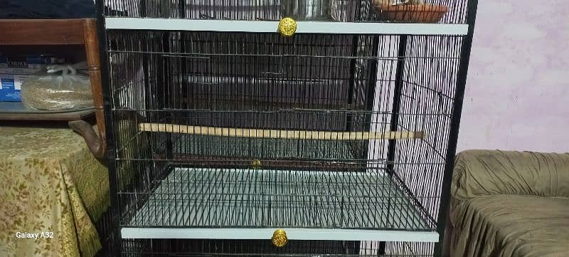 birds cage 4