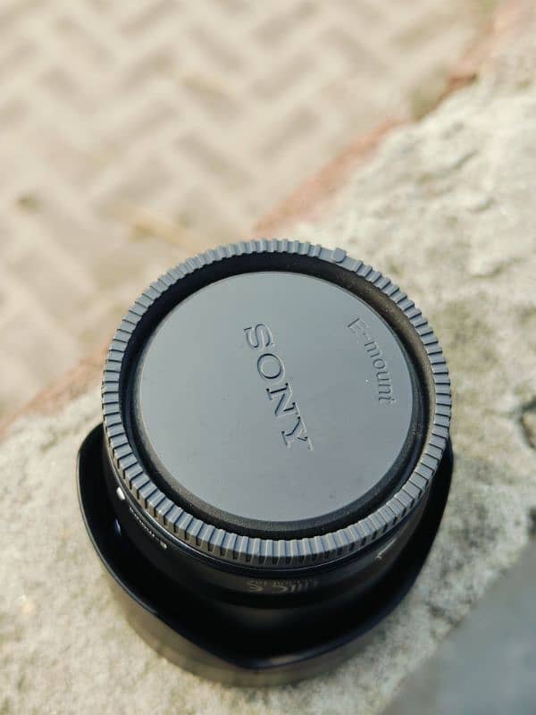 SONY  Sonnar T* FE 55mm F1.8 ZA 5