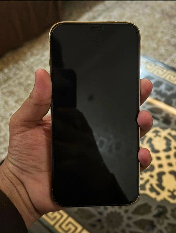 iPhone 12 pro max 10/10 condition 2